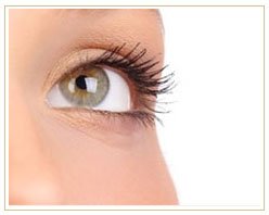 Slider image (2) Villa Bella | Dubai